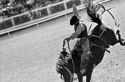 Dirk johnson essay 07 image